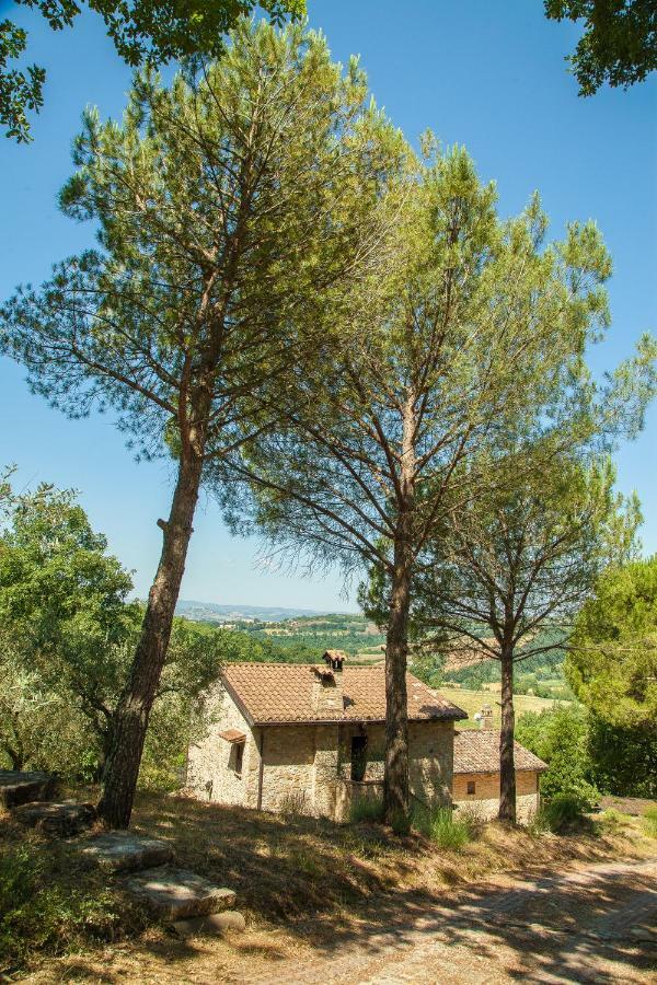 Agriturismo Bio Tra Cielo E Terra Apartment Grutti Екстериор снимка