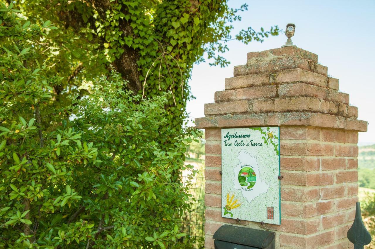 Agriturismo Bio Tra Cielo E Terra Apartment Grutti Екстериор снимка